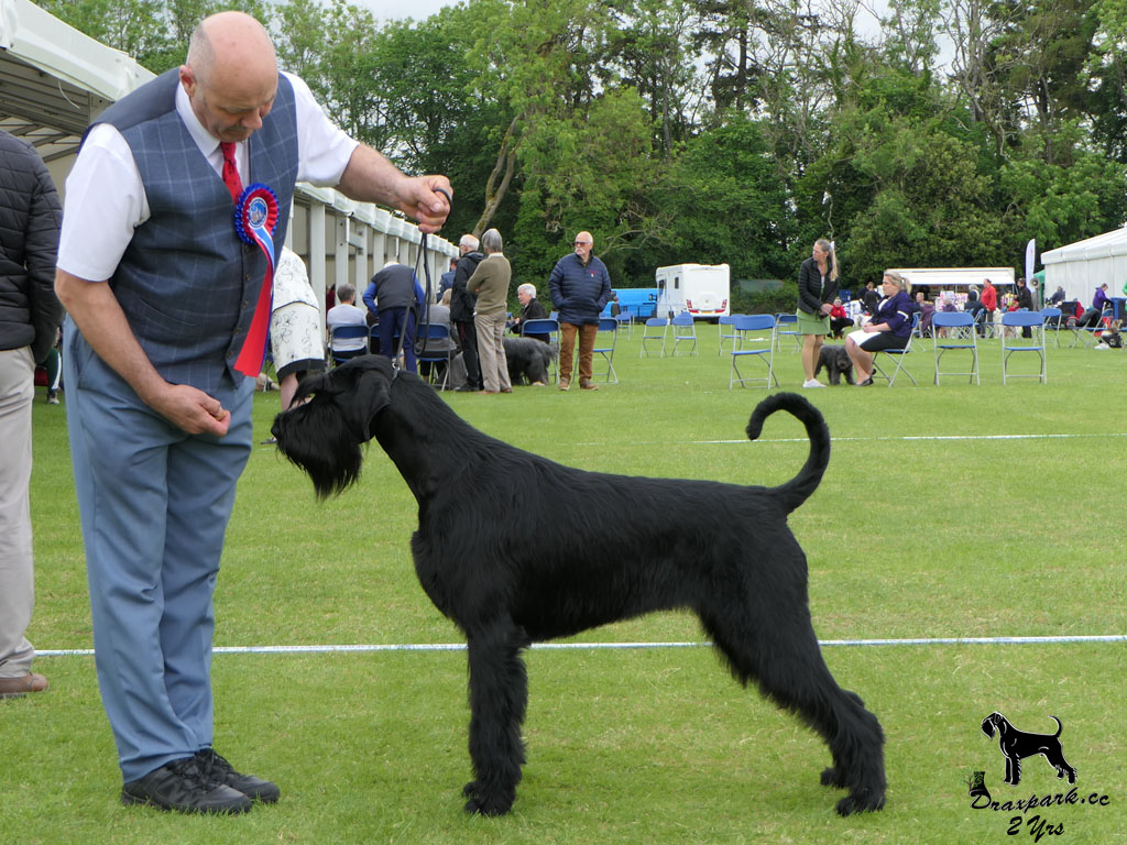 Best of Breed Bath May 2024
